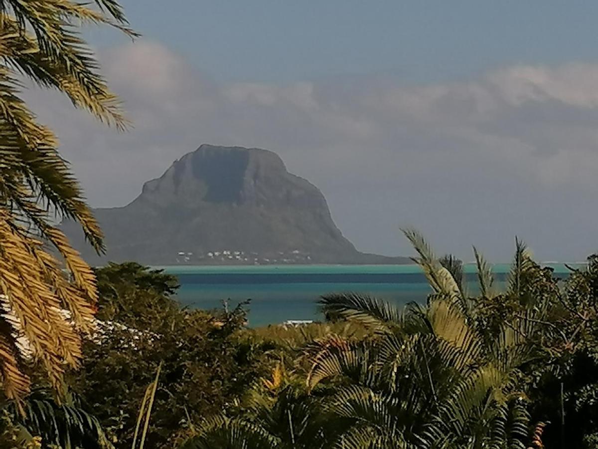 Terre et Mer - Studios - Ile Maurice Rivière Noire Eksteriør bilde