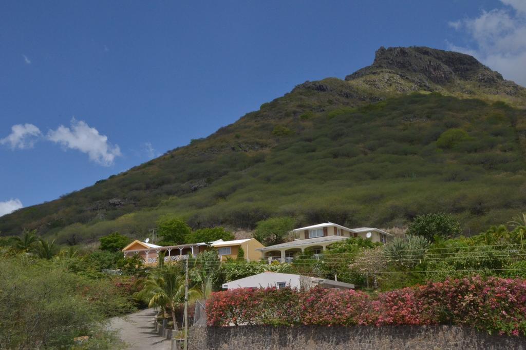 Terre et Mer - Studios - Ile Maurice Rivière Noire Eksteriør bilde